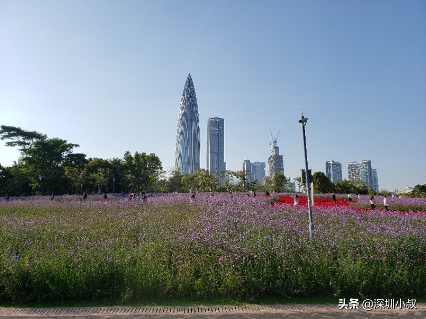 惠州欧洲杯直播平台在哪里:惠州欧洲杯直播平台在哪里看