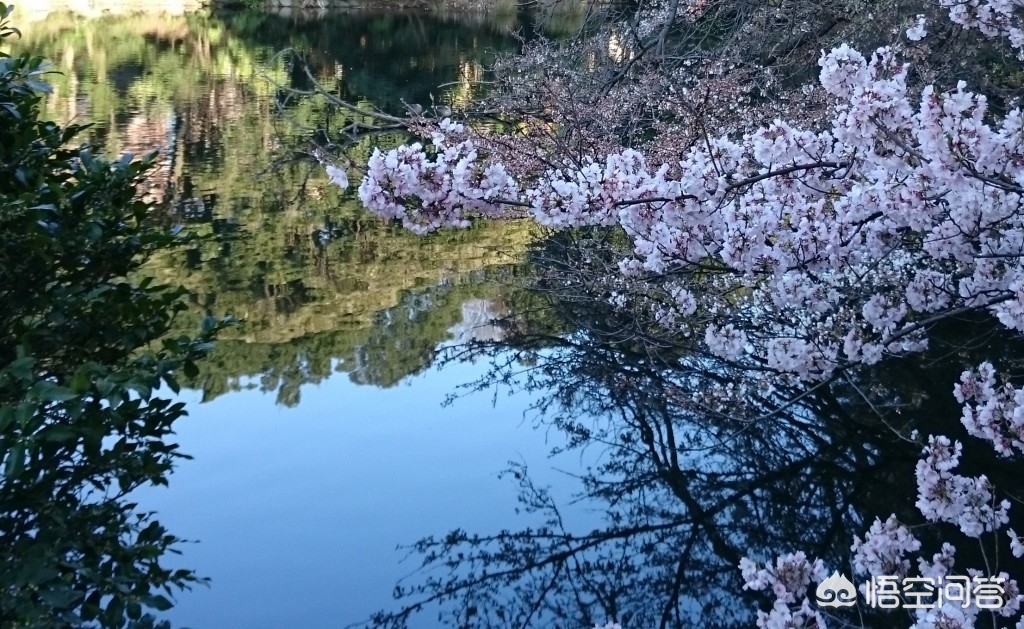 眉山哪里看欧洲杯直播的:眉山哪里看欧洲杯直播的好