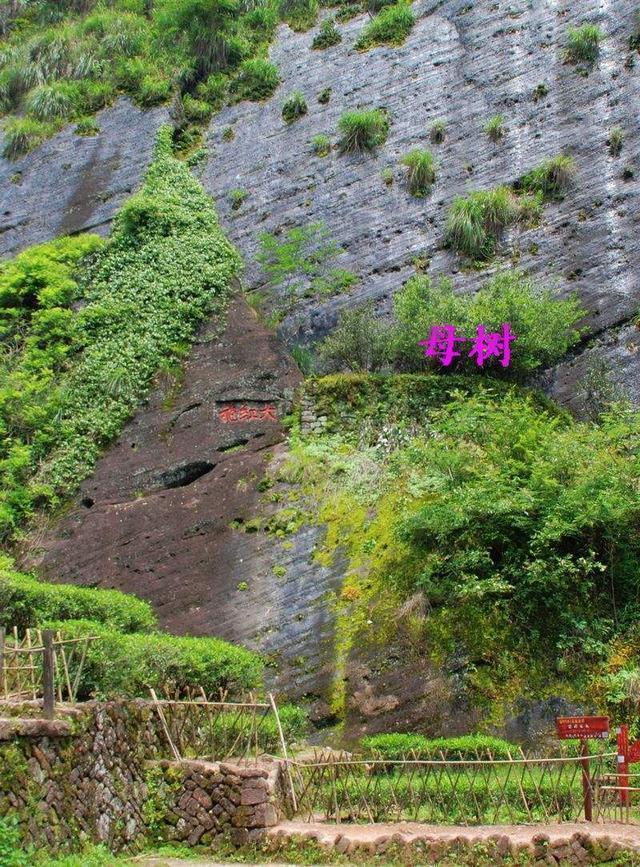 池州哪里能看欧洲杯直播:池州哪里能看欧洲杯直播的