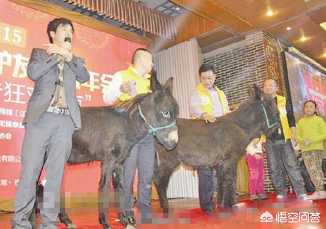 欧洲杯直播李彦宏视频在线观看:欧洲杯直播李彦宏视频在线观看免费