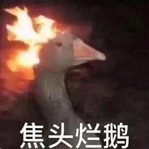 吃宵夜直播看欧洲杯: