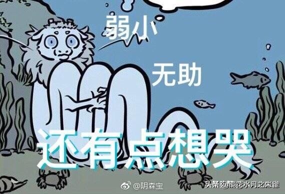 斯洛伐克欧洲杯直播:斯洛伐克欧洲杯赛程