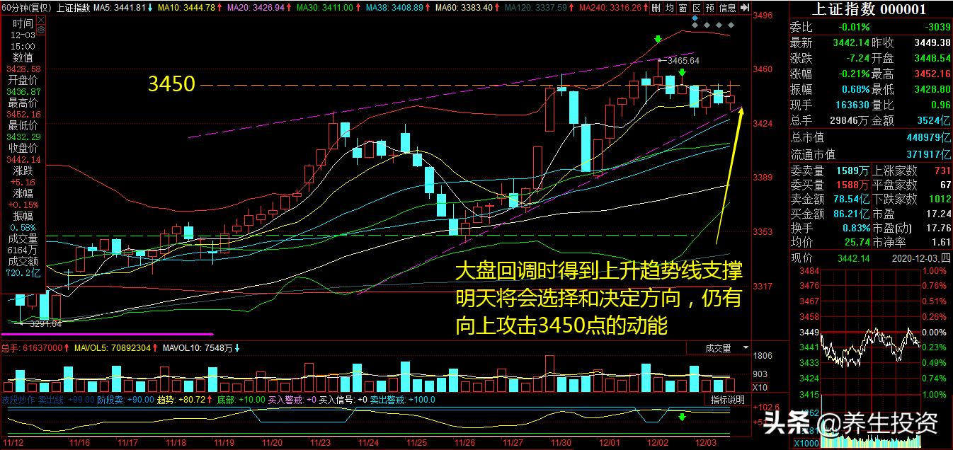 欧洲杯授权直播在哪看到:欧洲杯授权直播在哪看到的