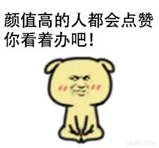 欧洲杯直播黑屏:欧洲杯直播黑屏怎么回事