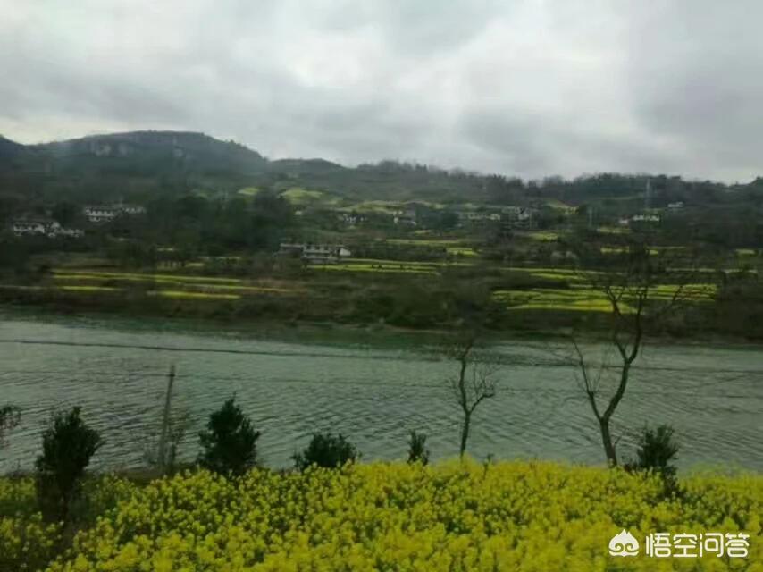 欧洲杯今晚大地直播:欧洲杯今晚大地直播回放