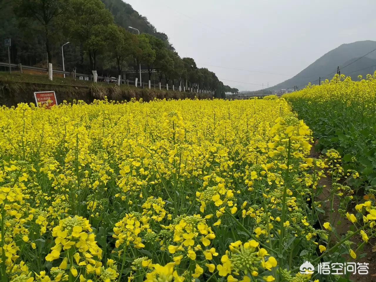 欧洲杯今晚大地直播:欧洲杯今晚大地直播回放