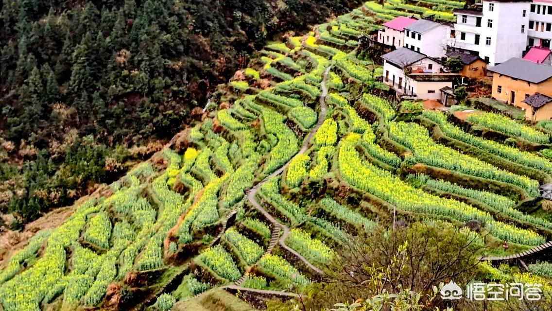 欧洲杯今晚大地直播:欧洲杯今晚大地直播回放