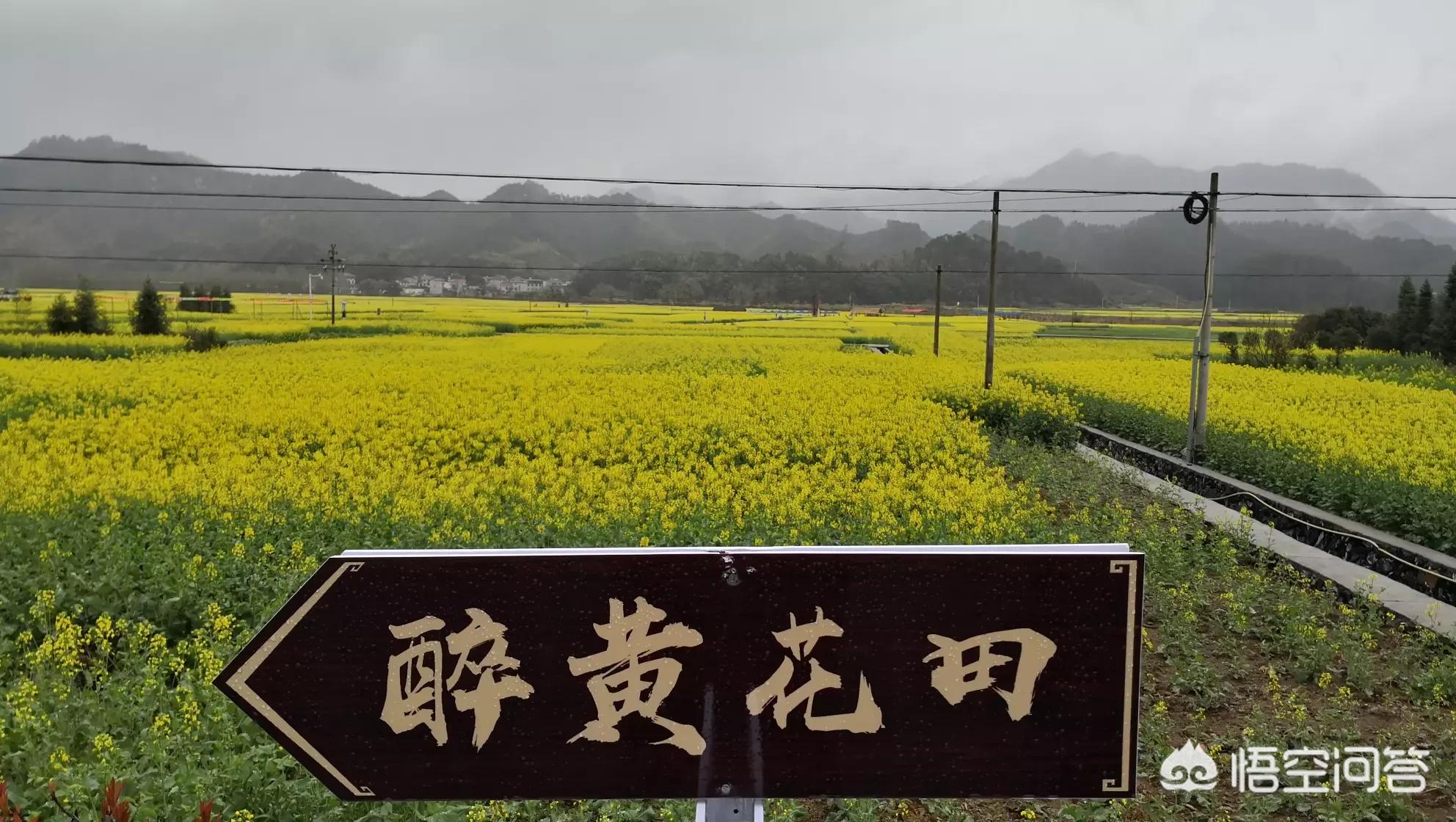 欧洲杯今晚大地直播:欧洲杯今晚大地直播回放