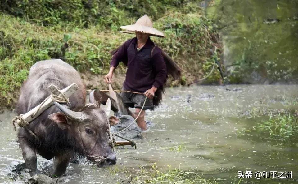 揭阳欧洲杯直播:揭阳欧洲杯直播平台