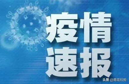 欧洲杯直播信号中缺失的画面:欧洲杯直播信号中缺失的画面是什么